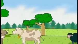 Spotlight 3 - Funny cows