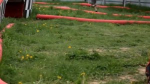 RC РаллиКроссАрена