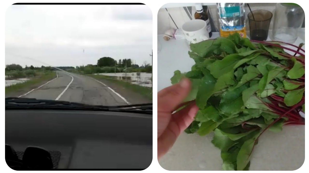 переезд из Сибири на Юг/первые заготовки/заброшенные деревни Сибири