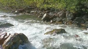 Вдоль реки Адзапш. ч.2