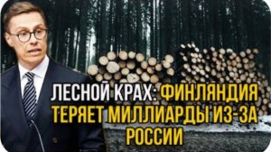 Финны потеряли дар речи! Россия полностью прекратила экспорт древесины