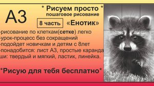 Енот часть 8 Рисунок карандашом БЕСПЛАТНО процесс БЕЗ СОКРАЩЕНИЙ с помощью сетки ПОШАГОВО