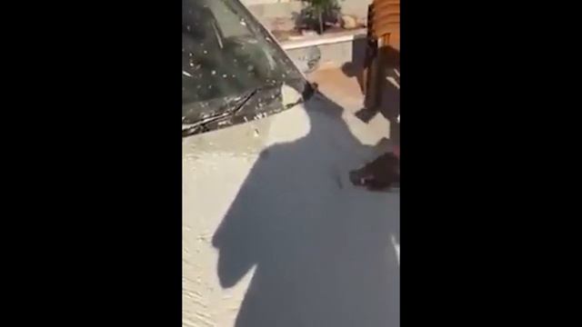 Работники 80 lvl подготовщик и скульптор смотреть онлайн