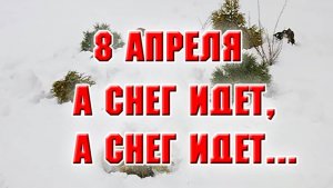 8 апреля. А снег идет, а снег идет...