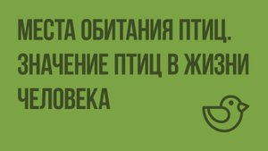 Места обитания птиц. Значение птиц в жизни человека. Видеоурок по окружающему миру 1 класс