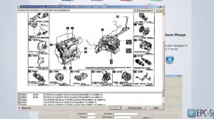 Как по VIN коду найти запчасти на автомобили Мазда в оригинальном каталоге Mazda Europe EPC