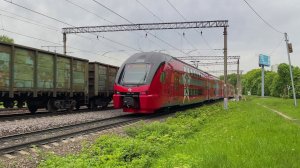 Аэроэкспресс пропускает под обгон грузовой поезд на станцию Бирюлёво-Товарная