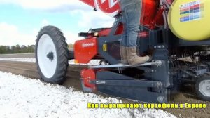 Как выращивают картошку