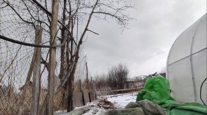 28.03.2025. Новые переселенцы. Навожу порядок.