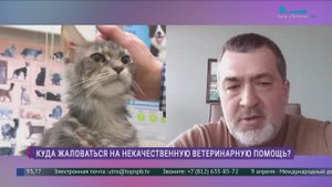 Куда жаловаться на некачественную ветеринарную помощь?