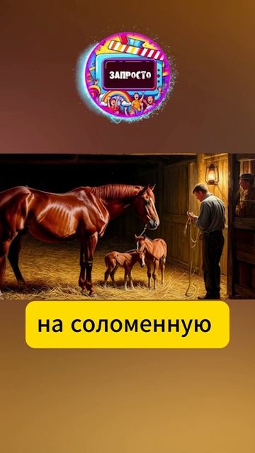 История на канале.