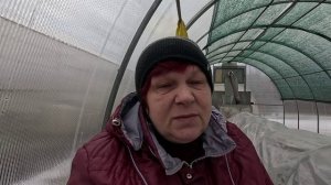 Всех ставил на место.. Планы на лето по птице..