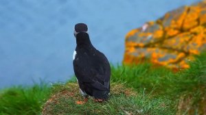 非常好聽 👍👍 早上聽的好歌 , 清除負面能量🎵 清新的早晨，伴隨著輕柔的樂曲，展開舒心的一天，簡單而美好