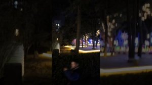 Пекин парк светящихся фигур март 2025 год