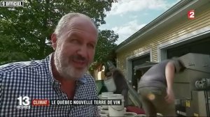 Выращивают ли виноград в Квебеке? Северное виноградарство в Канаде