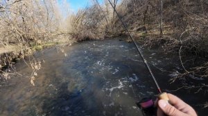 Первые голавлики 2025г на р.Пахре