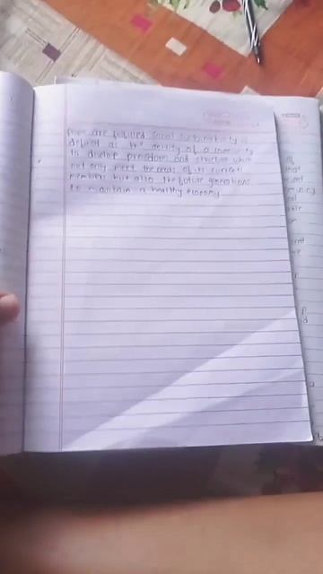 Essay of sustainable development