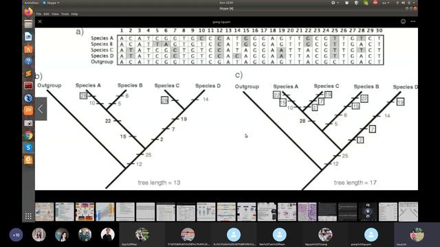 JCS:35 Gene Sequence Analysis 4   Phylogenetic trees