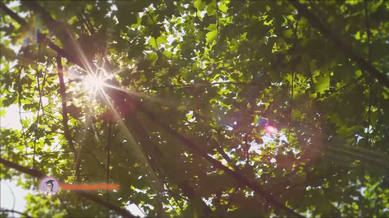 Фестиваль кадровых решений смотреть онлайн