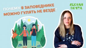 Почему в заповеднике можно гулять не везде? Лесная почта Лапландского заповедника