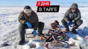 ОКУНЬ на каждой проводке. Эксперименты с приманками на окуня.
