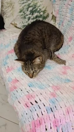 Новое, любимое место.