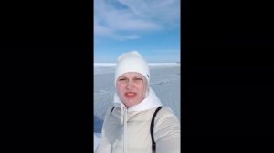 КАК ПОПАСТЬ В ЭСТОНИЮ РОССИЯНИНУ ?  #эстония #европа #эстониявъезд #эстониятаможня