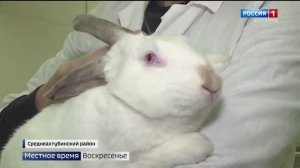 Кролиководческая ферма КФХ Корнеев
