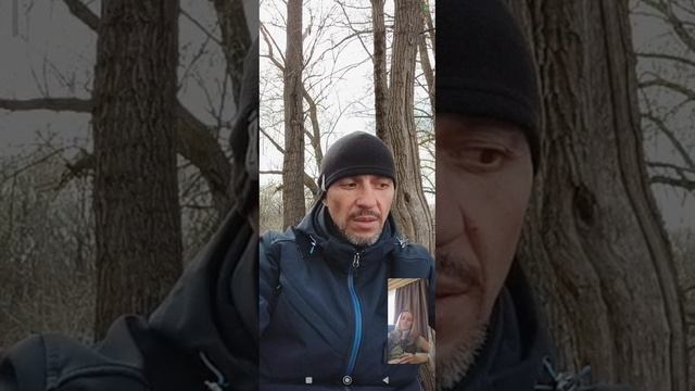 дерево
