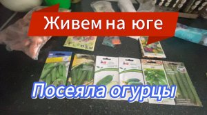 523ч🏡27.03.25-Про веранду//Про тех.паспорт//Про курицу//Посеяла огурцы//Гибкая черепица. #Копанская