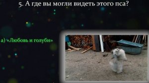 Попробуйте Угадать Советское Кино По Одному Кадру. Тест СССР.