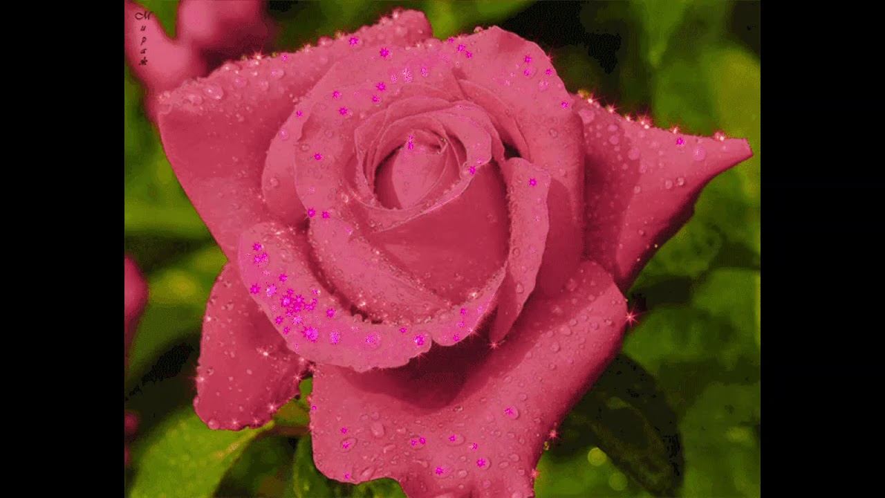 Доброе утро! Хорошего дня!