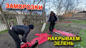 Летучая МЫШЬ ПОСЕЛИЛАСЬ У НАС ДОМА .  ОНИ ПРИШЛИ НЕОЖИДАННО – Пришлось СПАСАТЬ!