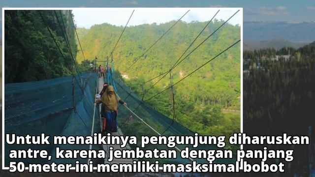 Indahnya Helena Sky Bridge, Spot Selfie dari Atas Taman Kupu-kupu