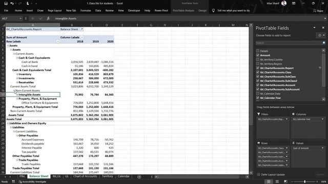 Preparing Balance Sheet with basic Pivot Table - Microsoft Excel for Accounting & Finance