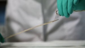 Фильм "Оружейная фабрика Златоуст"