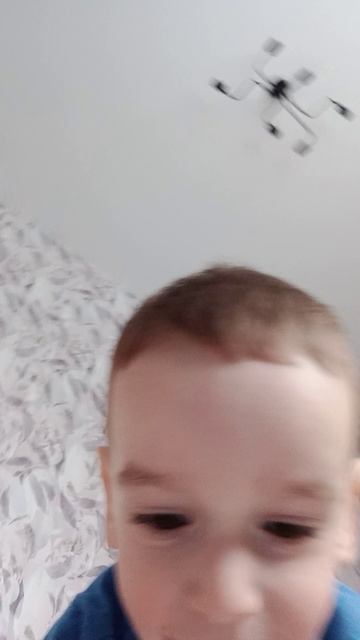 это мой весёлый братик
