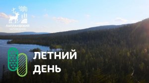 Летний день. Лапландский заповедник