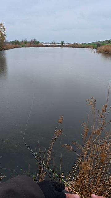 Щуки на Strike Pro Buster Jerk II лютуют/атакуют , но не могу засечь.... не мой день ???? смотреть онлайн