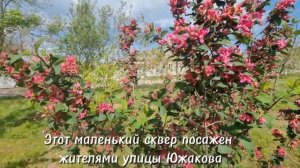 Весна! Цветут сады, цветы. А море гневается 😃🥹