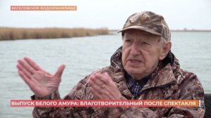 Организаторы спектакля на собранные деньги купили и выпустили в водохранилище белого амура