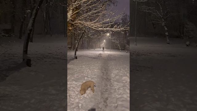 район Хорошево-Мневники 
от вчерашнего 08.04.2025г.✨️❄️