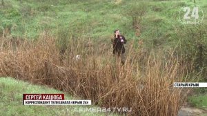 Вода, которая идёт не туда: улицы Старого Крыма подтапливает нечистотами