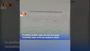 💥Shark attack: video, Russian man mauled and killed by shark in Egypt😱