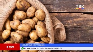 Программа "Дайджест" 09.04.2025