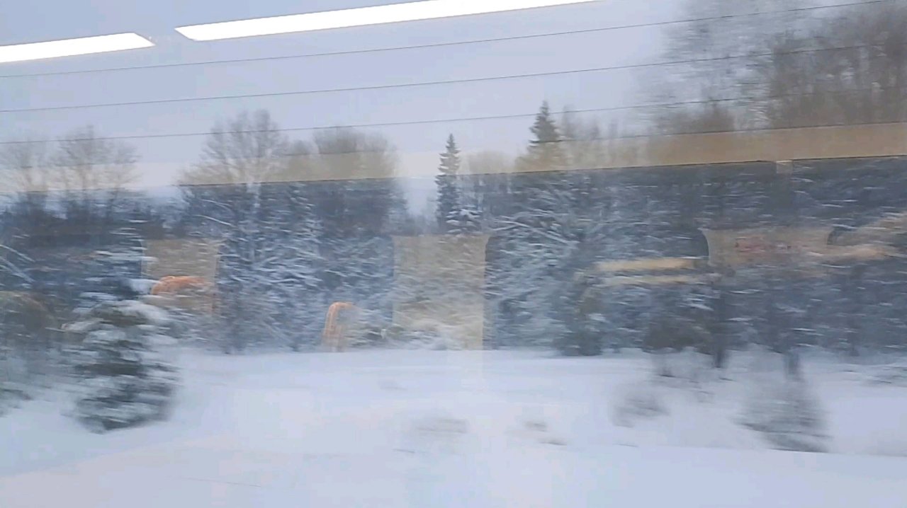 08.04.25.зима метёт/подобрала расходники для поделки/снежный лес/комментарии🌺🌺🌺