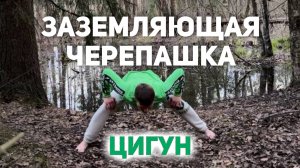 ⚡ ЧЕРЕПАШКА⚡ ЭНЕРГИЯ ЗЕМЛИ  ⚡ #цигун #энергопрактики #дао