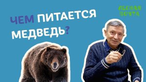 Лесная почта — Чем питается медведь? Геннадий Катаев