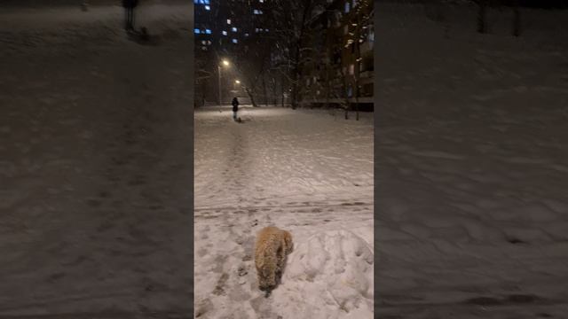 район Хорошево-Мневники 
от вчерашнего 08.04.2025г.✨️❄️