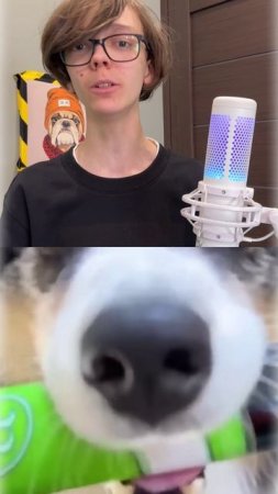 САМЫЙ УМНЫЙ ПЕС В МИРЕ!!!